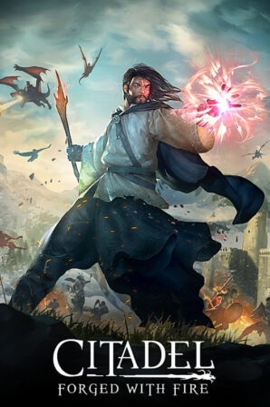 Citadel: Forged With Fire